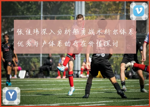 张佳玮深入分析船勇战术科尔体系优劣与卢体系的存在价值探讨