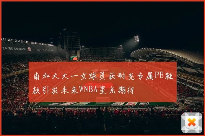 南加大大一女球员获耐克专属PE鞋款引发未来WNBA星光期待