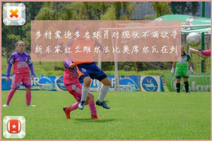 多特蒙德多名球员对现状不满欲寻新东家杜兰维尔法比奥席尔瓦在列