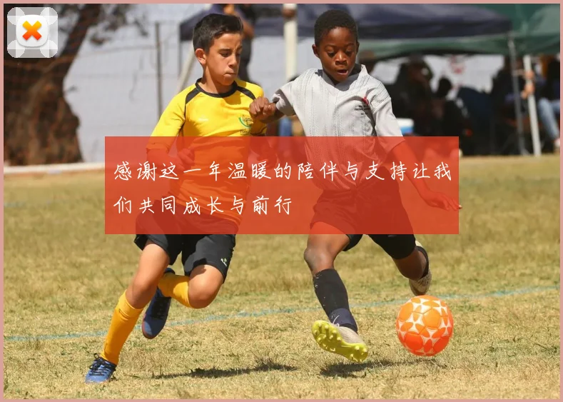 感谢这一年温暖的陪伴与支持让我们共同成长与前行
