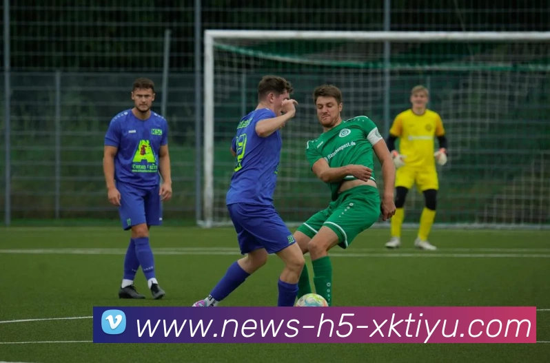 多媒体互动体验